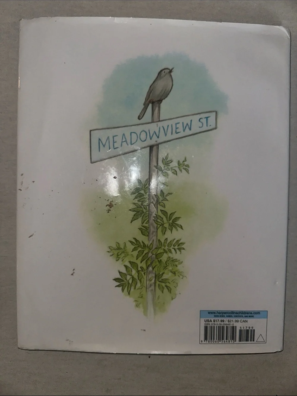 Kids On Meadowview Street by Henry Cole - Children's Book - Blue & Green Cover